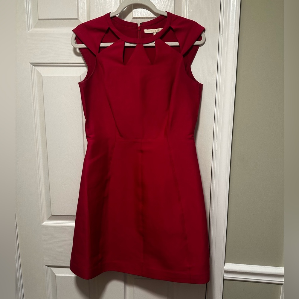 Elegant Fuchsia Dress - Size 6- Excellent condition!